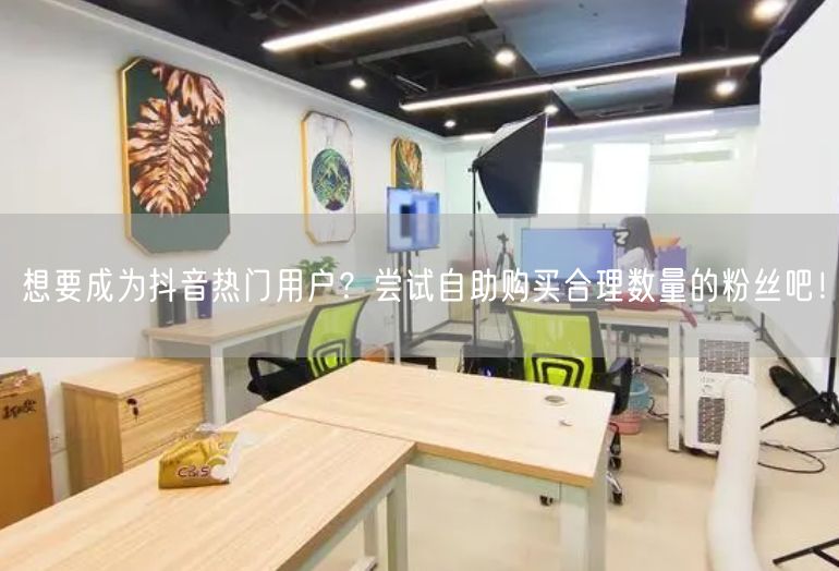 想要成为抖音热门用户？尝试自助购买合理数量的粉丝吧！
